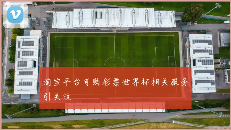 淘宝平台可购彩票世界杯相关服务引关注