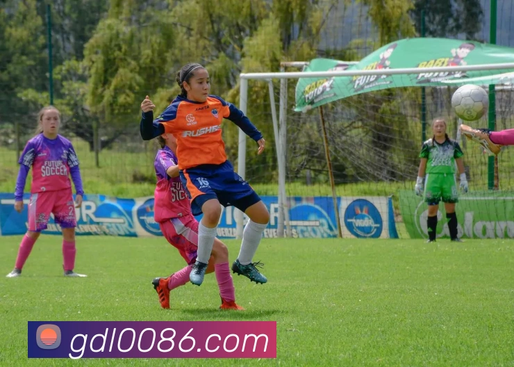 leyu官网入口品牌故事